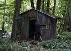 cabin_in_the_woods